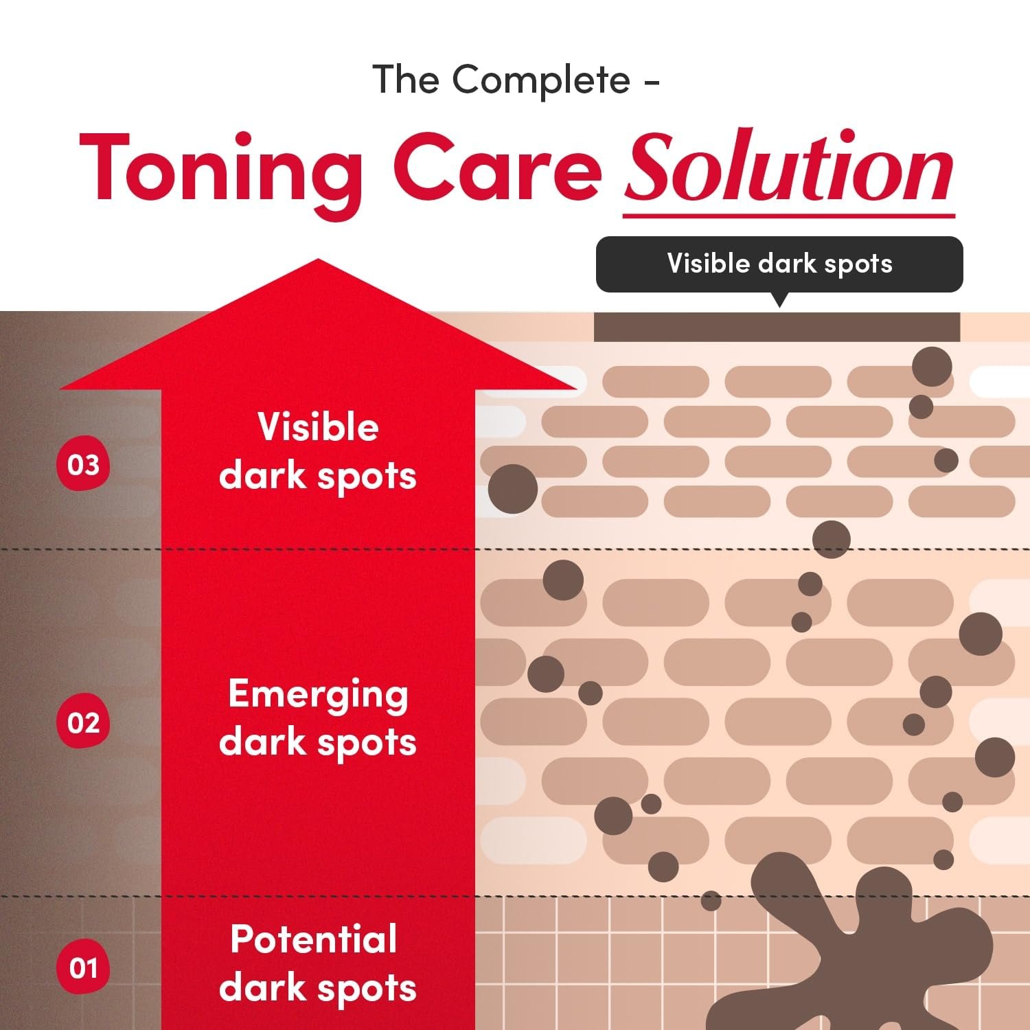 EQQUALBERRY Vitamin illuminating Serum (30ml) - Image 3